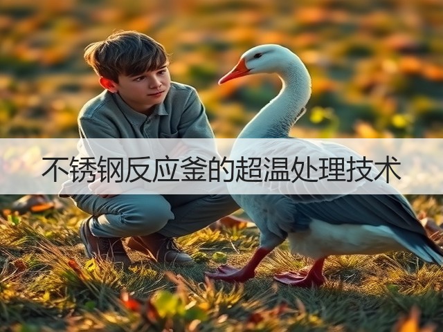 不锈钢反应釜的超温处理技术(图2) 不锈钢反应釜的超温处理技术(图2)