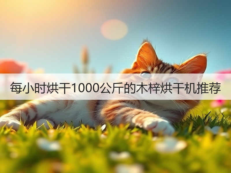 每小时烘干1000公斤的木梓烘干机推荐 每小时烘干1000公斤的木梓烘干机推荐
