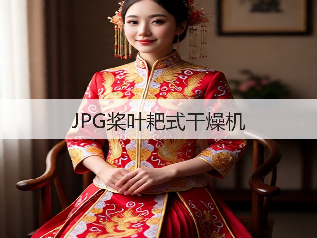 JPG桨叶耙式干燥机(图2)