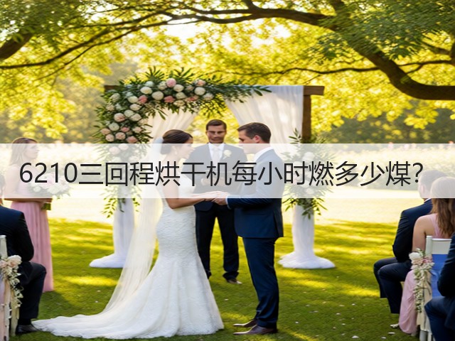 6210三回程烘干机每小时燃多少煤?(图2) 6210三回程烘干机每小时燃多少煤?(图2)