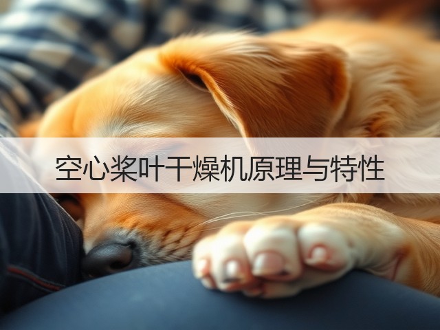 空心桨叶干燥机原理与特性(图1)