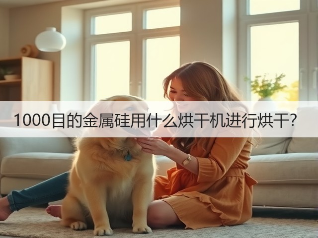 1000目的金属硅用什么烘干机进行烘干？(图2)