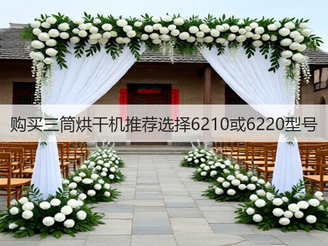 购买三筒烘干机推荐选择6210或6220型号(图1)