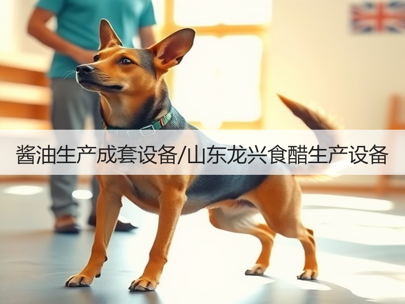 酱油生产成套设备/山东龙兴食醋生产设备 酱油生产成套设备/山东龙兴食醋生产设备