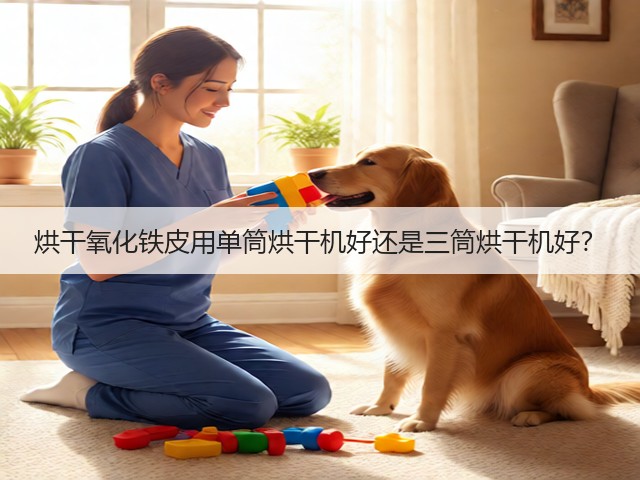 烘干氧化铁皮用单筒烘干机好还是三筒烘干机好？(图3)