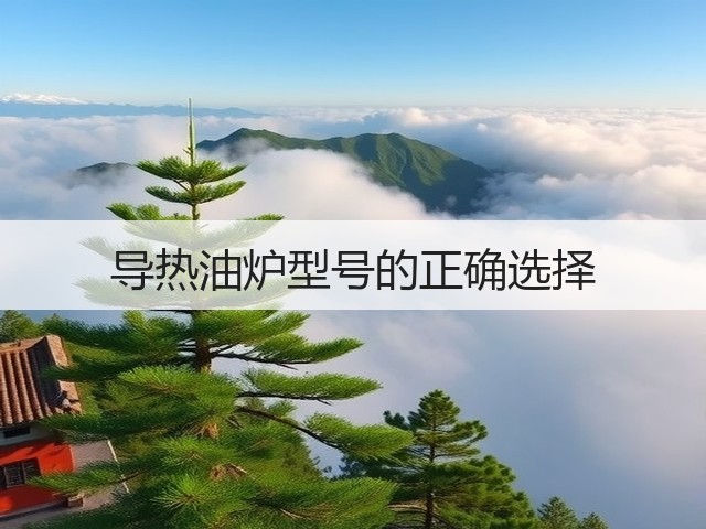 导热油炉型号的正确选择(图2) 导热油炉型号的正确选择(图2)