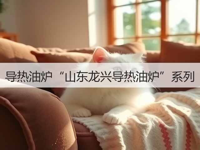 导热油炉“山东龙兴导热油炉”系列(图3) 导热油炉“山东龙兴导热油炉”系列(图3)