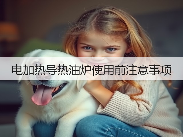 电加热导热油炉使用前注意事项(图2)