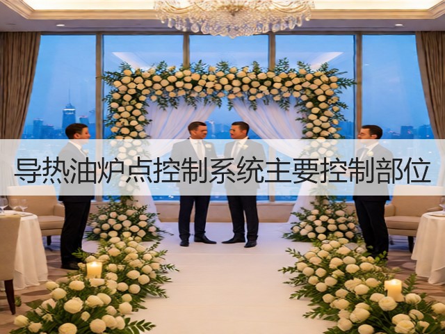 导热油炉点控制系统主要控制部位(图1) 导热油炉点控制系统主要控制部位(图1)