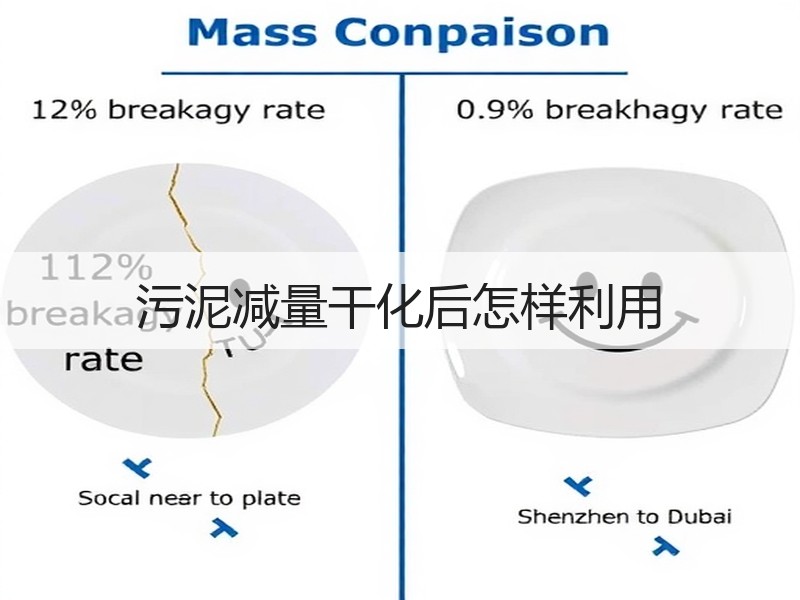 污泥减量干化后怎样利用 污泥减量干化后怎样利用