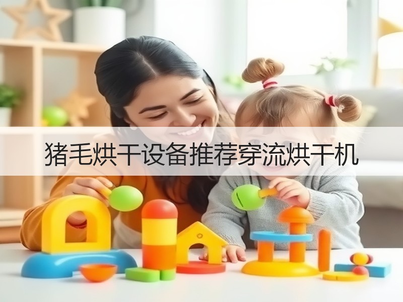 猪毛烘干设备推荐穿流烘干机