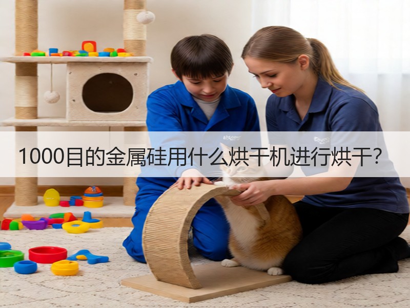 1000目的金属硅用什么烘干机进行烘干？