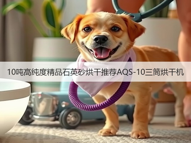 10吨高纯度精品石英砂烘干推荐AQS-10三筒烘干机(图3)