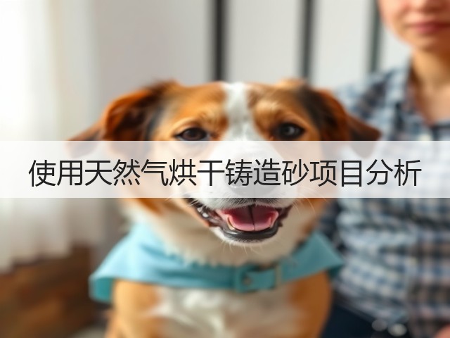 使用天然气烘干铸造砂项目分析(图1)