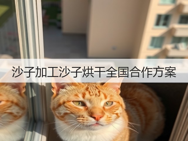 沙子加工沙子烘干全国合作方案(图3)