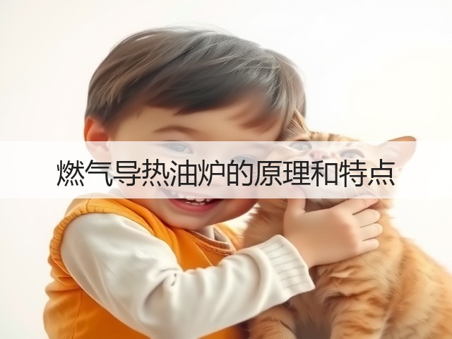 燃气导热油炉的原理和特点(图1) 燃气导热油炉的原理和特点(图1)