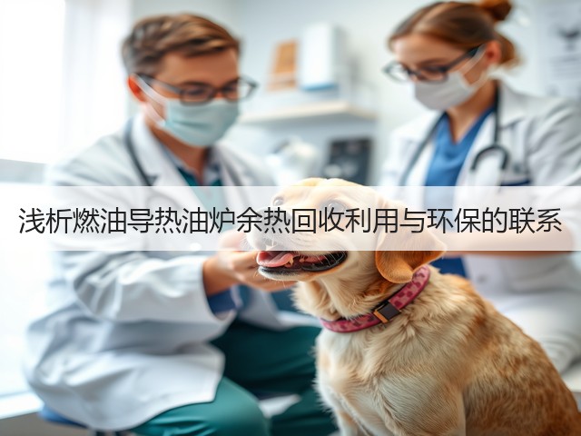 浅析燃油导热油炉余热回收利用与环保的联系(图1) 浅析燃油导热油炉余热回收利用与环保的联系(图1)