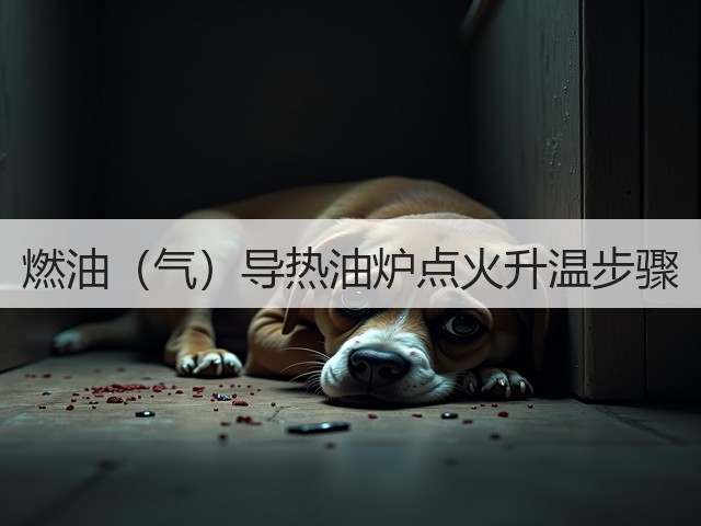 燃油(气)导热油炉点火升温步骤(图2) 燃油(气)导热油炉点火升温步骤(图2)