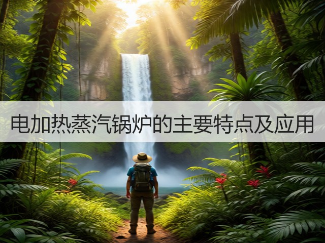 电加热蒸汽锅炉的主要特点及应用(图1)