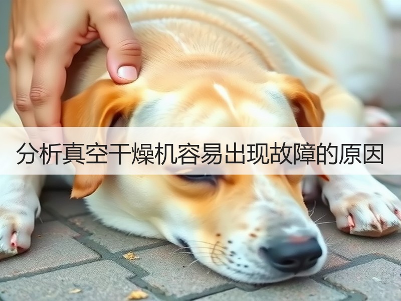 分析真空干燥机容易出现故障的原因