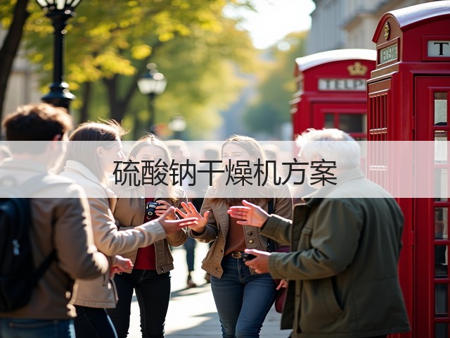 硫酸钠干燥机方案(图1) 硫酸钠干燥机方案(图1)