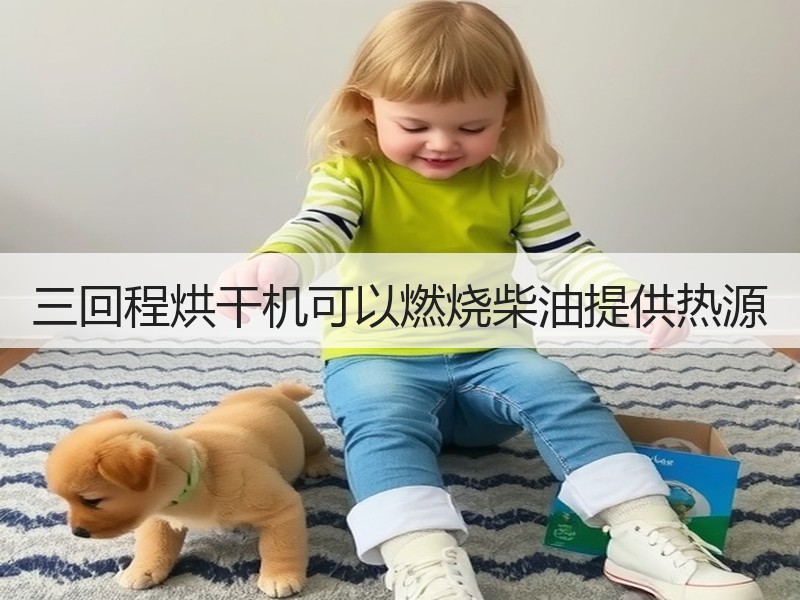 三回程烘干机可以燃烧柴油提供热源