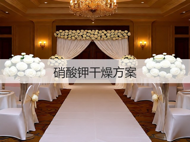 硝酸钾干燥方案(图2)