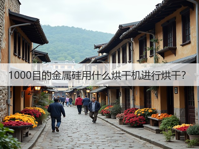 1000目的金属硅用什么烘干机进行烘干?(图1) 1000目的金属硅用什么烘干机进行烘干?(图1)
