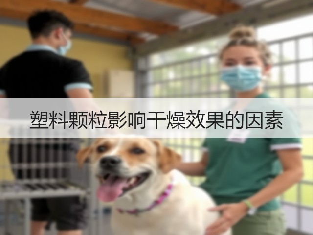塑料颗粒影响干燥效果的因素(图1)