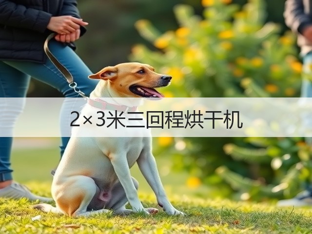 2×3米三回程烘干机(图1)