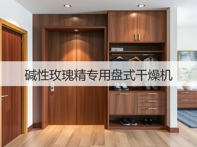 碱性玫瑰精专用盘式干燥机(图2)
