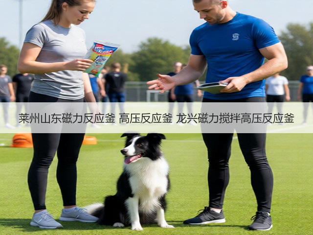 莱州山东磁力反应釜 高压反应釜 龙兴磁力搅拌高压反应釜(图1)