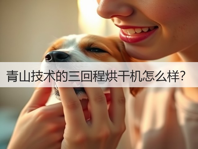 青山技术的三回程烘干机怎么样?(图1) 青山技术的三回程烘干机怎么样?(图1)