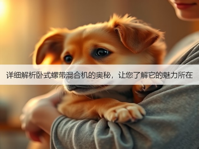 详细解析卧式螺带混合机的奥秘,让您了解它的魅力所在(图2) 详细解析卧式螺带混合机的奥秘,让您了解它的魅力所在(图2)