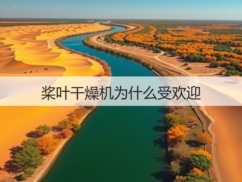 桨叶干燥机为什么受欢迎 桨叶干燥机为什么受欢迎