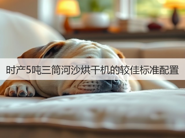 时产5吨三筒河沙烘干机的较佳标准配置(图2) 时产5吨三筒河沙烘干机的较佳标准配置(图2)