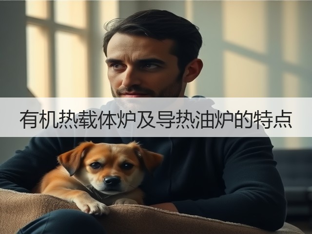有机热载体炉及导热油炉的特点(图2) 有机热载体炉及导热油炉的特点(图2)