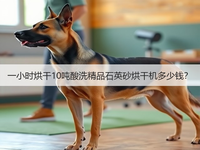 一小时烘干10吨酸洗精品石英砂烘干机多少钱？(图1)