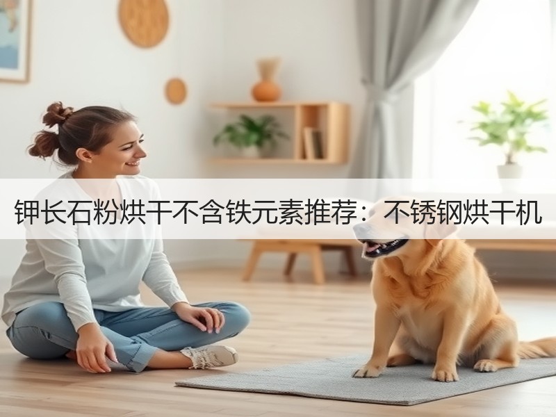 钾长石粉烘干不含铁元素推荐：不锈钢烘干机