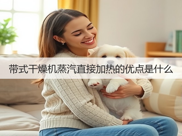 带式干燥机蒸汽直接加热的优点是什么(图1) 带式干燥机蒸汽直接加热的优点是什么(图1)
