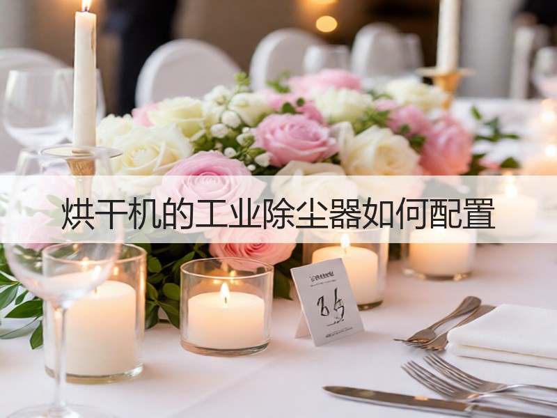 烘干机的工业除尘器如何配置