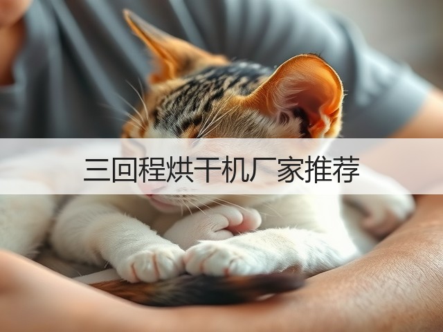 三回程烘干机厂家推荐(图2) 三回程烘干机厂家推荐(图2)