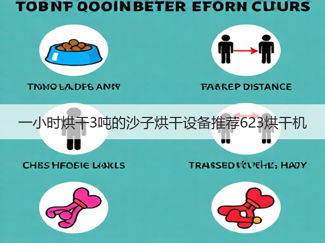 一小时烘干3吨的沙子烘干设备推荐623烘干机(图3)