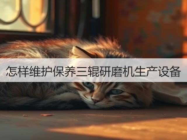 怎样维护保养三辊研磨机生产设备(图1)
