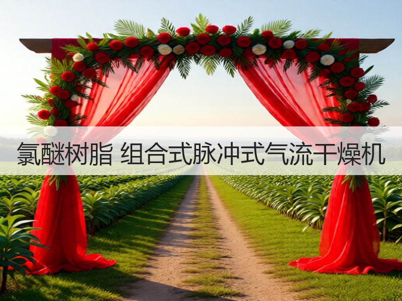 氯醚树脂 组合式脉冲式气流干燥机