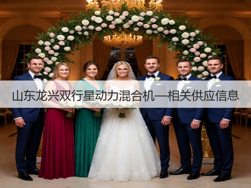 山东龙兴双行星动力混合机—相关供应信息
