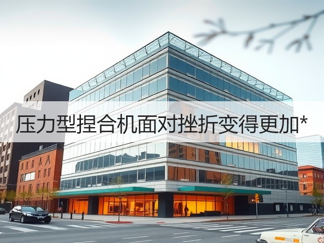 压力型捏合机面对挫折变得更加*(图3) 压力型捏合机面对挫折变得更加*(图3)