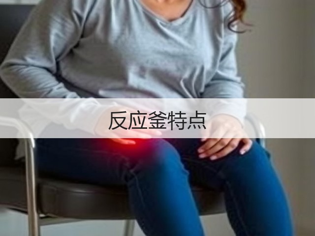 反应釜特点(图2) 反应釜特点(图2)