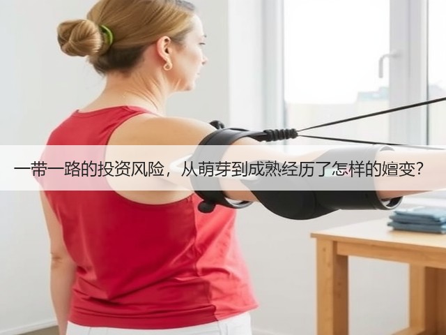 一带一路的投资风险,从萌芽到成熟经历了怎样的嬗变?(图3) 一带一路的投资风险,从萌芽到成熟经历了怎样的嬗变?(图3)