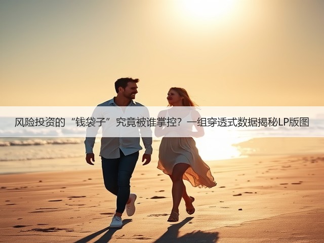 风险投资的“钱袋子”究竟被谁掌控?一组穿透式数据揭秘LP版图(图3) 风险投资的“钱袋子”究竟被谁掌控?一组穿透式数据揭秘LP版图(图3)